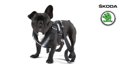 SKODA Dog safety belt -