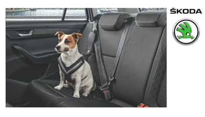 SKODA Dog safety belt -
