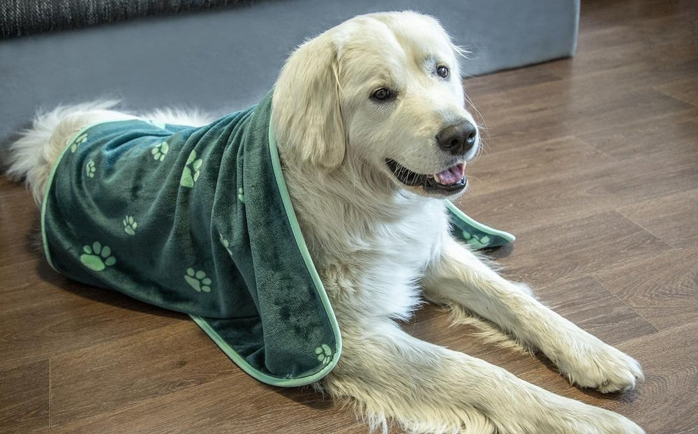SKODA Blanket for Pets