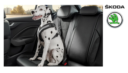 SKODA Dog safety belt - 