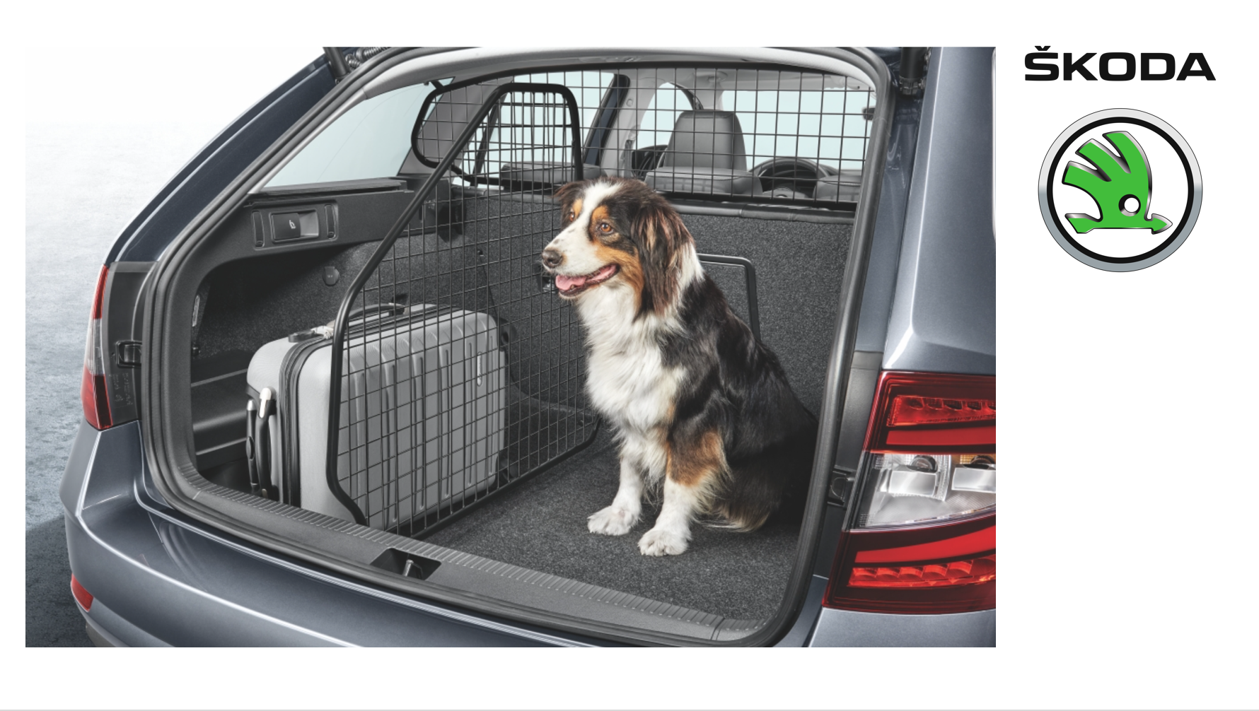 Buy skoda octavia estate dog guard Hot Sale - Main Image